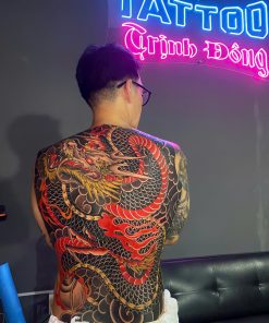 HÌNH LƯNG 2