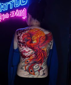 HÌNH LƯNG 53