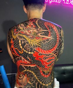 HÌNH LƯNG 55